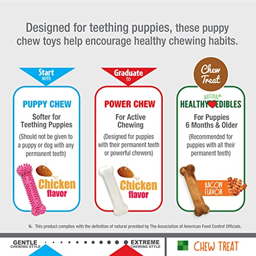 Nylabone Puppy Chew Toys & Natural Treat Triple Pack, Puppy Enrichment Teething Toys, Pink, Chicken & Bacon Flavor, Small Dogs - Up to 25 Ibs, 3 Pack - color: Pink, size: Small