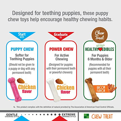 Nylabone Puppy Chew Toys & Natural Treat Triple Pack, Puppy Enrichment Teething Toys, Pink, Chicken & Bacon Flavor, Small Dogs - Up to 25 Ibs, 3 Pack - color: Pink, size: Small