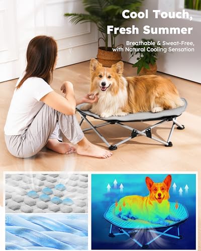 Pecute Elevated Dog Bed with Cooling Blanket, Chew Proof Outdoor Pet Cot for Medium Dogs, Tool-Free Assembly & 360° Breathable Mesh for Summer Camping, Orthopedic Joint Support, L, 31.9×29.5×7.9" - size: L(31.9 × 29.5 × 7.9'')