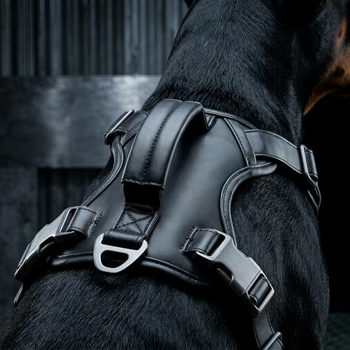 CANAGAN Premium Vegan Leather Dog Harness for Large Dogs – Adjustable, No-Pull, Escape-Proof, Dual Leash Rings & Top Handle, Zinc Alloy Buckles – Perfect for Urban & Outdoor Walks - size: L: Chest(22" - 32")