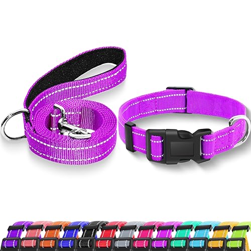 Reflective Dog Collar with Safety Locking Buckle, Adjustable Soft Breathable Nylon Collars for Small, Medium and Large Dogs(Collar+Leash XS Width 3/8" Rosered) - color: Rosered, size: XX-Small (Width 3/8")
