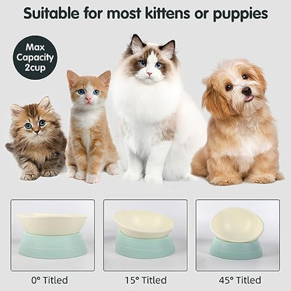 Bulldog Bowl Anti-Slip Dog Cat Dish Detachable Rubber Dog Bowl Pet Sterile Tilted Pet Feeder Slope Base (Green, 2 Cup (Small/Medium Dog)) - color: Green, size: 2 Cup ( Small/Medium Dog )