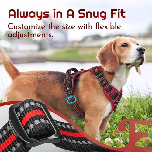 Dog Harness Small Sized, Easy Wearing with 3 Buckles, Adjustable No Pull Pet Harness with 2 Rings for Walking, No Chock Reflective Soft Padded Vest with Control Handle, Black & Red, S - color: Black & Red, size: Small
