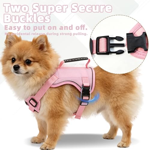 AIITLE Small Dog Harness No Pull, Reflective Adjustable Vest with Handle, No Choke Design, Dual Metal Leash Clips for Walking Training Running Camping, Small Medium Breeds - Pink S - color: Pink, size: S
