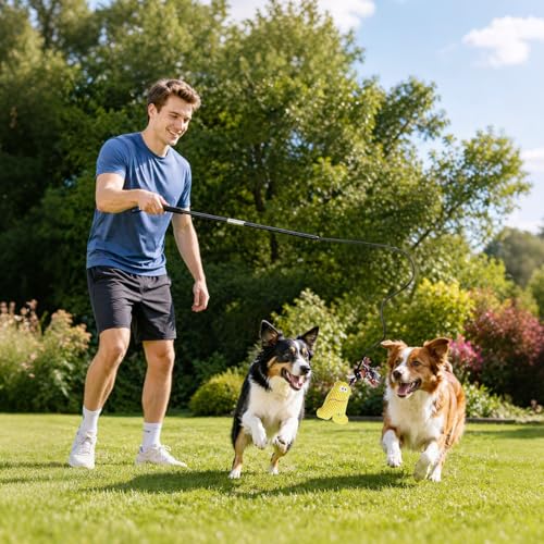 Flirt Pole for Dogs Heavy Duty - Dog Chase Toy with Squeak Toy & Braided Rope, Upgraded XL Carry Bag, Lightweight Interactive Wand for Small Medium Breeds, Indoor & Outdoor Training