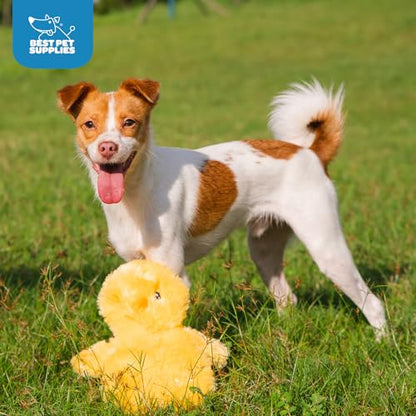 Best Pet Supplies Interactive Squeaky Dog Chew Toy, Ideal Dog Toys for Chewers, Small, Medium & Large Dogs, and Fetch Lovers - Crinkle Chicken (Yellow), Large - color: Crinkle Chicken (Yellow), size: Large