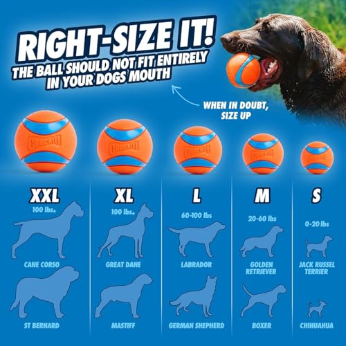 Chuckit! EcoFetch Dog Ball Launcher - 18" with Medium (2.5") Dog Fetch Ball Thrower, for Dogs 20-60 Pounds, Made in USA - style: EcoFetch