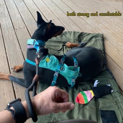 Short Dog Leash- 2FT Strong Nylon Black Traffic Leash- No Pull Rope Lead for Medium Large Dogs Training Walking (Black,1/2" x 24 inch) - size: 24 Inch (Pack of 1)