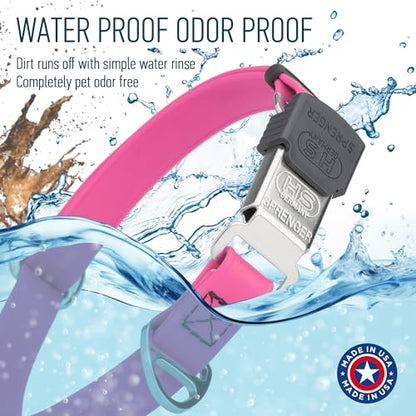 Biothane Waterproof Durable Dog Collar with Herm Sprenger - Quick Release ClicLock Buckle - Fits Medium and Large Dogs - Made in USA (Passionfruit Pink, W 3/4" x L 12"-19") - color: Passionfruit Pink, size: W 3/4" x L 12"-19"