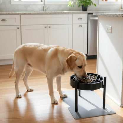 Adjustable Width Dog Bowl Holder - Single Bowl Feeder for Medium to Large Breed Dogs, fits Bowls from 8-11 inches, Sturdy Metal Construction, Ergonomic Design (Bowl not Included) (1-Pack) - size: 1-Pack