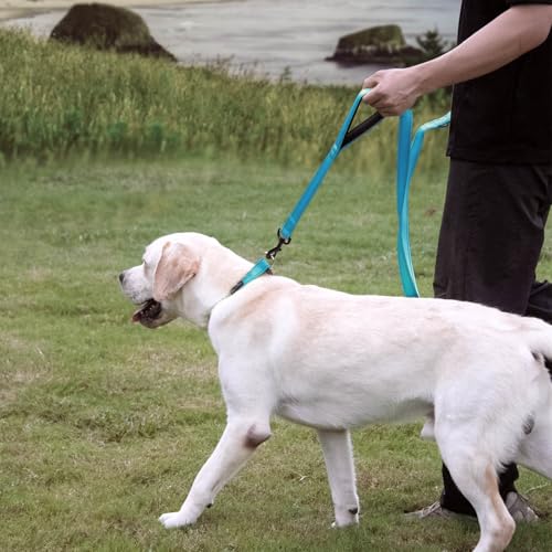 Wagtime Club Double Handle Dog Leash, 6ft Long Heavy Duty Dog Leash with Paded Traffic Handles for Extral Control and Training, Dual Handles Leads, Large Medium Small Dogs (Reflective Bright Blue) - color: Reflective Bright Blue