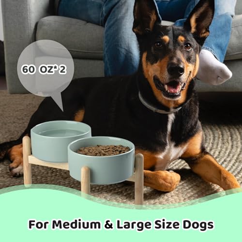 SPUNKYJUNKY Ceramics Elevated Dog Bowls with Wooden Stand Raised Bowl for Medium Large Dog Food and Water Pet Feeding Bowl(Double 60OZ Bowls,Light Green) - color: Light Green (Double Bowls Set), size: Large - 7.6 CUPS