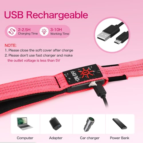 Weesiber Light Up Dog Leash, 4ft LED Dog Leash Rechargeable Puppy Lead Waterproof Safety Glow in The Dark Pet Lights for Night Walking (Pink) - color: Pink