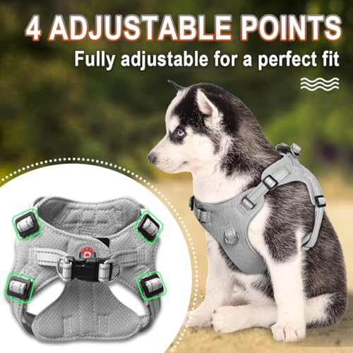 BARKBAY Dog Harness, Reflective Adjustable No Pull Harness, Breathable Soft, Grey, XXS - color: Grey, size: XX-Small