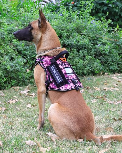 Tactical Dog Harness - No-Pull Service Vest for Large Breeds, with Hook & Loop Patch Panel & MOLLE System M (30-50 lbs, Chest: 25–29") Reflective Purple Camo - color: Reflective Purple Camo, size: M (30-50 lbs, Chest: 25–29")