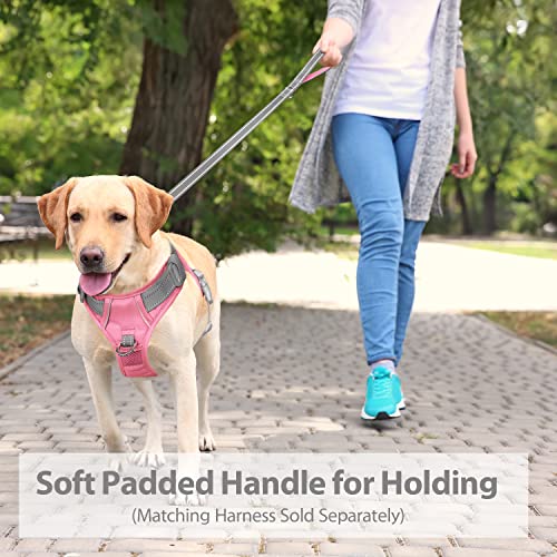 PHOEPET 5 Feet Dog Leash - Dual-Side Reflective - Soft Padded Handle - Fit for Walking, Training or Exploring Hiking, Camping (Grey + Baby Pink Base) - color: Grey + Baby Pink Base