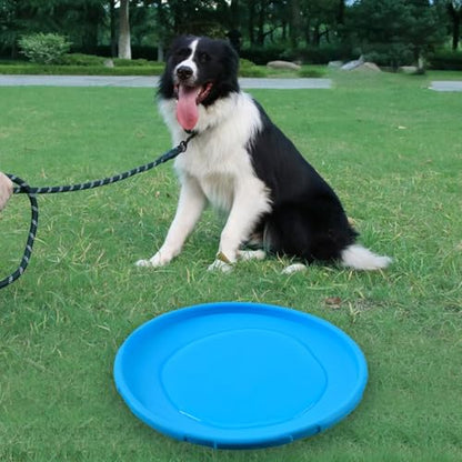 Dog Flying Discs Non Slip Dog Toy Soft Rubber Training Exercise Active Pet Training Disc Outdoor Dog Training Disc - color: blue, size: Small