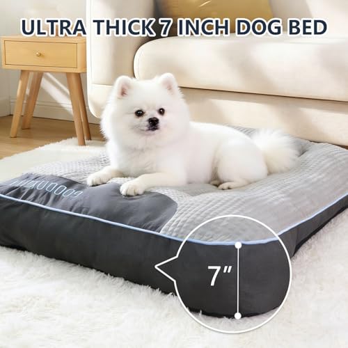 Small Dog Bed 24" x 18" for Small Dogs & Indoor Cats, Washable Calming Pet Bed with Soft Plush Cushion, Non-Slip Bottom, Cozy Puppy & Kitten Bed for Cats and Small Pets, Grey - size: S(24" L x 18" W x 7" Th)