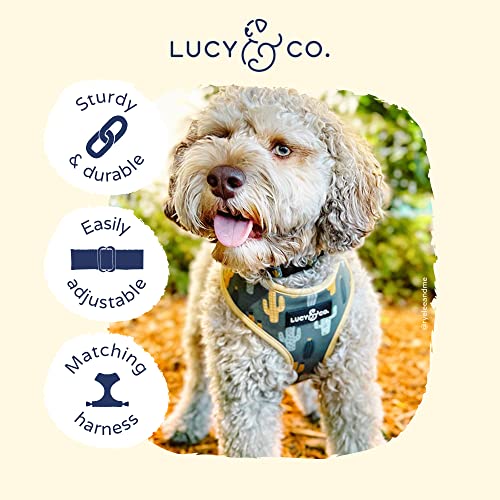 Lucy & Co. Looking Sharp Dog Collar - Durable Lightweight Designer Collar for Pets - Adjustable Metal Safety Buckle - Green Gold Cactus - Small - color: Looking Sharp Dog Collar, size: Small
