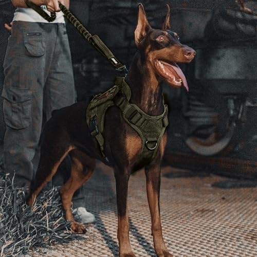 OneTigris Tactical Dog Training Bungee Leash with 2 Control Handle Quick Release Nylon Leads Rope(Ranger Green) - color: Green