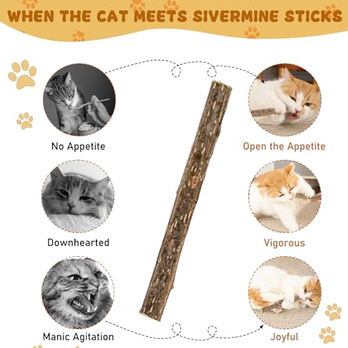 WoLover Silvervine Sticks for Cats, Natural Catnip Matatabi Chew Sticks Teeth Molar Chew Toys for Cat Kitten Kitty (25 PCS) - size: 25 Count (Pack of 1)