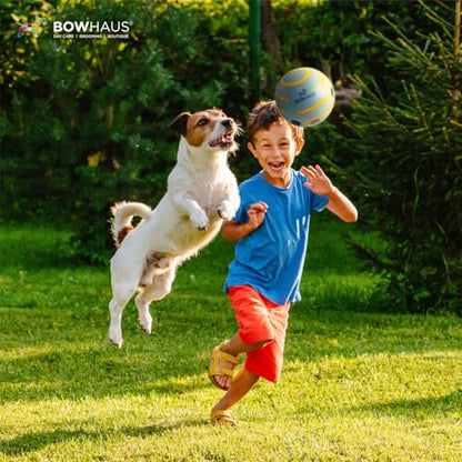 BOWHAUS Giggle Ball for Dogs, 5.5 Inch Interactive Dog Exercise Toys, Indestructible Fun Squeaky Chew Toy, Non-Toxic Durable PVC Chew Ball for Indoor Outdoor Play - style: Giggle Ball - Classic Style