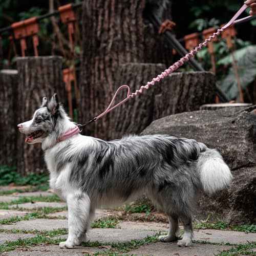 OneTigris Tactical Dog Training Bungee Leash with 2 Control Handle Quick Release Nylon Leads Rope - color: Pink