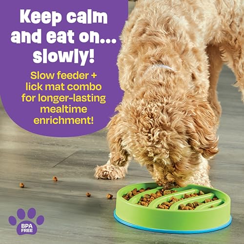 Brightkins Circle Slow Feeder and Lick Mat, Outdoor Puzzle Board, Interactive Dog Toys, Dog Birthday, Enrichment Bowls, Puppy Teething and Chewing, Stimulating Automatic Feeder - style: Circle Slow Feeder and Lick Mat
