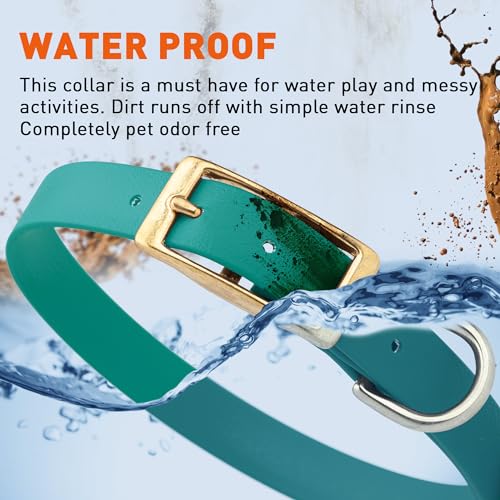 Viper Biothane Heavy Duty Waterproof Dog Collar Strong Coated Nylon Webbing w/Solid Brass Hardware Odor-Proof for Easy Care Easy to Clean High Performance Fits Small Medium or Large Dogs, Blue Aqua