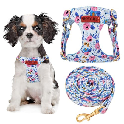 No Pull Dog Harness Adjustable Small Dog Harness and Leash Set, Lightweight and Soft Dog Harness No Choke Escape Proof Pet Harness Vest (Blue Rose, XX-Small) - color: Blue Rose, size: XX-Small