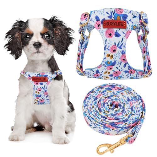 No Pull Dog Harness Adjustable Small Dog Harness and Leash Set, Lightweight and Soft Dog Harness No Choke Escape Proof Pet Harness Vest (Blue Rose, XX-Small) - color: Blue Rose, size: XX-Small