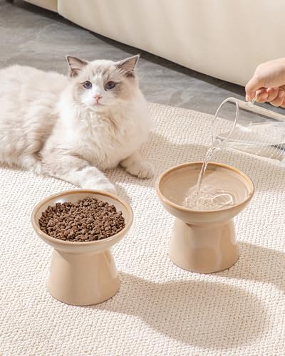 vancasso Ceramic Elevated Cat Bowls 2-Pack - 6.2" Extra Wide Raised Cat Food & Water Dishes, 5.1" Optimal Height Anti-Whisker Fatigue Shallow Bowls for Cats/Kittens/Dogs, Lead & Cadmium Free (Brown) - color: Brown