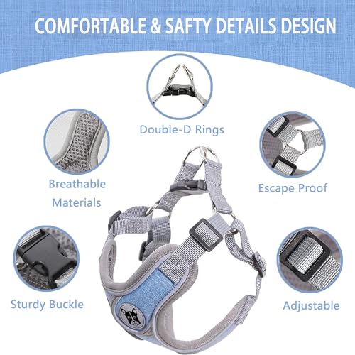 Large Dog Harness and Leash Set,No Pull Adjustable Step in Soft Mesh Vest Harness,Easy Walk Reflective Pet Harness with Padded Handle for Walking Training Small Medium Large Dogs and Cats (Blue, L) - color: Blue, size: L