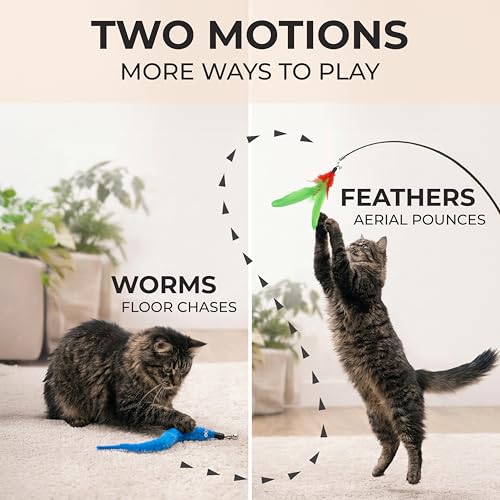 20 pcs Pack Cat Wand Feather Toy Refills with Bells , Natural Feather Replacement for Interactive Teaser Toys, Colorful Wand Attachments, Durable and Safe Cat Toy Accessories for Exercise and Play