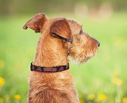 MLB Arizona Diamondbacks Licensed PET COLLAR- Heavy-Duty, Strong, and Durable Dog Collar. Available in 29 Baseball Teams and 4 Sizes - color: Arizona Diamondbacks, size: Extra Large