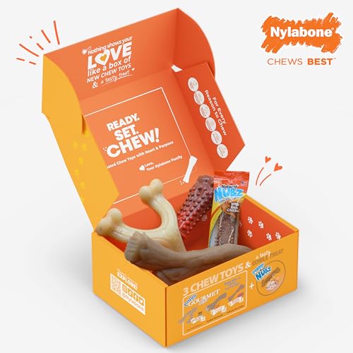 Nylabone Dog Gift Box, Includes 3 Strong Chew Toys and 1 Natural Treat, Gifts for Dogs, Large - Up to 50 lbs, 4 Pack - size: Large (4 Count)