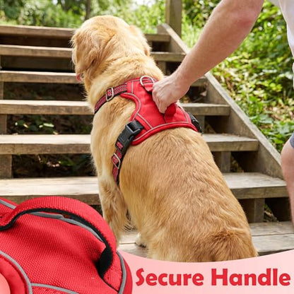 Funfox Dog Harness No Pull, Adjustable Pet Vest Harness, Super Soft Material with Vertical Handle Easy Control, Reflective Night Walking, 2 Leash Clips for Small Sized Dogs, Red, S - color: Red, size: Small
