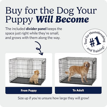 MidWest Homes for Pets 42-Inch iCrate for Large Breeds, 71-90 lbs, Single Door Folding Dog Crate with Divider Panel, Leak-Proof Tray & Secure Latch, Portable, Durable & Easy to Assemble - size: 42.0"L x 28.0"W x 30.0"H