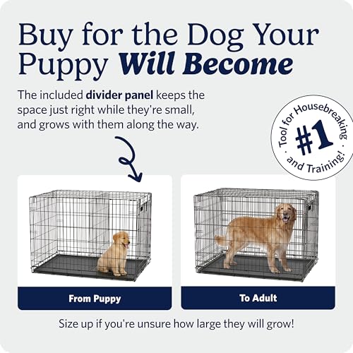 MidWest Homes for Pets 30-Inch iCrate for Medium Breeds, 21-40 lbs, Single Door Folding Dog Crate with Divider Panel, Leak-Proof Tray & Secure Latch, Portable, Durable & Easy to Assemble - size: 30.7"L x 19.3"W x 21.5"H