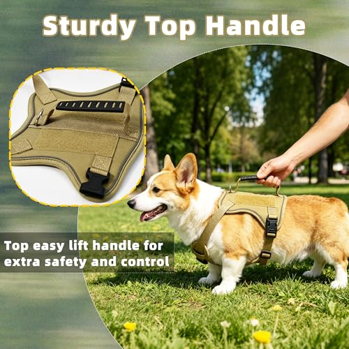 AIITLE Medium Dog Harness No Pull, Reflective Adjustable Vest with Handle, No Choke Design, Dual Metal Leash Clips for Walking Training Running Camping, Small Medium Breeds - Khaki M - color: Khaki, size: M