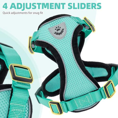 PUPTECK Cat Harness and Leash Set Escape Proof Reflective Cat Walking Harness Adjustable Soft Breathable Mesh Vest for Small Pets, Aquamarine, XS - color: Aquamarine, size: XS (NECK 8.5", CHEST 11"-14")