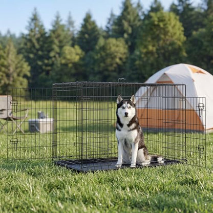 Sweetcrispy Dog Crate, 48 Inch Double Door Folding Metal Wire Dog Cage with Plastic Leak-Proof Pan Tray, Extra Large Pet Kennel for Indoor, Outdoor, Travel - size: 48.4"L x 30.0"W x 31.3"H, style: Double Door