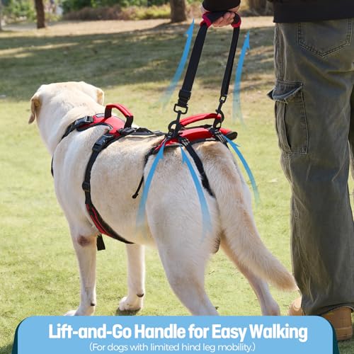 Dog Lift Harness for Large Dogs, Full-Body Support Dog Harness for Stairs & Hind Leg Weakness, Senior Dog Walking Assist, Male Dog-Friendly & Comfortable, Red, L - size: Large