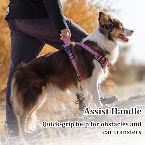 Vest Harness for Dogs - Reflective Adjustable Padding with Easy-On Design & Leash Attachment (XL, Hot Pink) - color: Hot Pink, size: XL