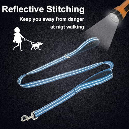 Dual Padded Handle Standard Dog Leashes with Reflective Stitching,360° Rotatable Heavy Duty Metal Buckle,D-Ring,Durable Nylon,for Medium Sized Dogs from 20 to 60 Pounds Walking and Training Blue 5Ft - color: Blue, size: 5Ft
