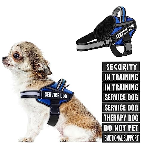 Dog Vest Harness and Patches Set, Animire in Training Service Dog Harness with 10 Dog Patches, Reflective Dog Vest with Handle for Small, Medium, Large, and Extra-Large Dogs - color: Blue, size: X-SMALL(Chest:14-19 Inch)
