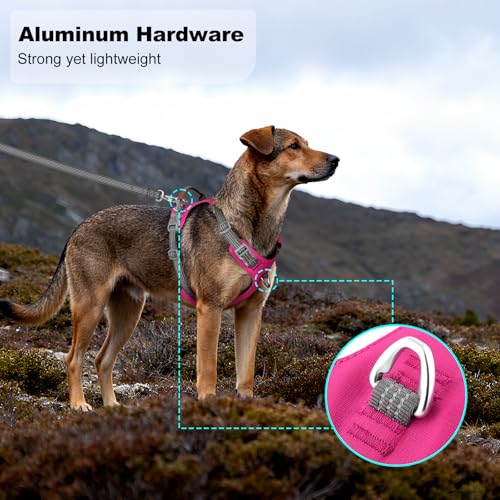 No Pull Dog Harness – Adjustable Reflective Nylon Vest for Small Medium Large Dogs, Escape Proof Training Harness with Leather Control Handle, Lightweight Aluminum Hardware (Hot Pink, XL) - color: Hot Pink, size: XL