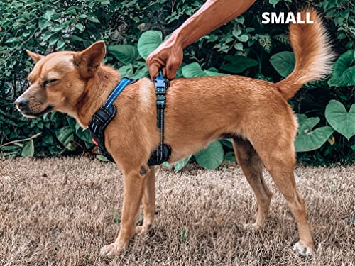 Tuff Pupper No Pull Easy Walk Dog Harness | Heavy Duty Pet Vest | Front & Back Leash Clips | Strong Safety Handle | Reflective Anti Pull Vest | Comfortable Padded Escape Proof Harness (Small, Blue) - color: Midnight Blue, size: Small (Neck: 10-17" , Chest