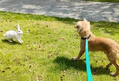 Bungee Dog Leash- 5FT Shock Absorbing & Reflective Nylon Leash | Anti-Pull Training for Small/Medium Dogs | 2cm Wide, 6 Colors (Turquoise) - color: Turquoise