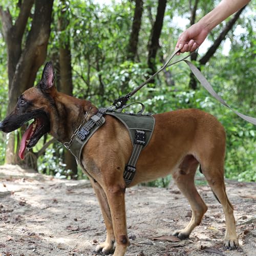 ICEFANG Relfective Dog Leash for Medium Large Dogs,K9 Training Walking Lead with Double Handle,Heavy Duty Auto-Lock Metal Clasp (6ft, Green) - color: Green, size: 6 ft (No bungee)